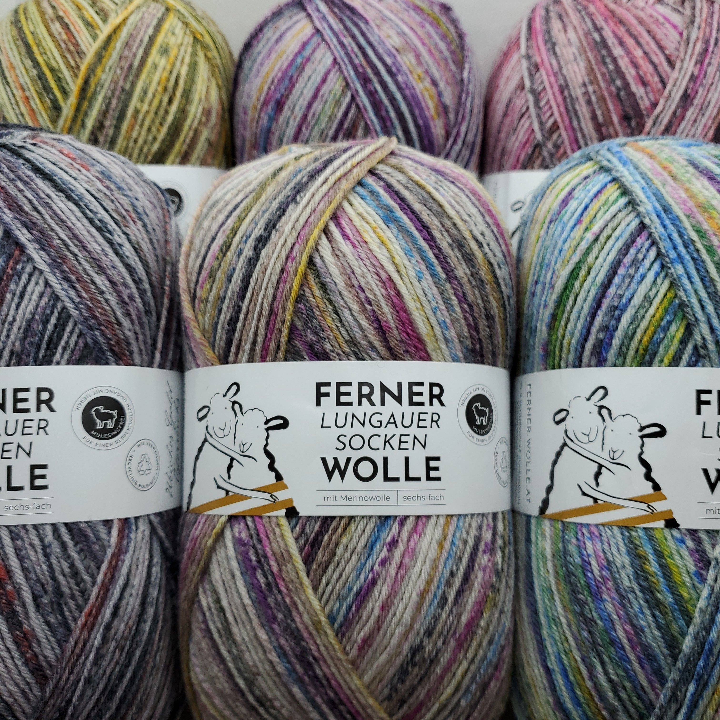 FERNERLungauer Sockenwolle 6ply – Asammy's Yarn Shop