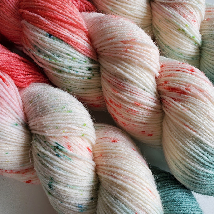 Asammy's <br>Hand dyed sockyarn 04.06.24</br>