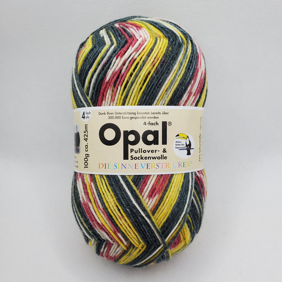 Opal Regenwald 3